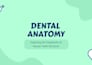 create professional medical and dental presentations